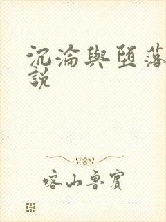 沉沦与堕落的小说封面