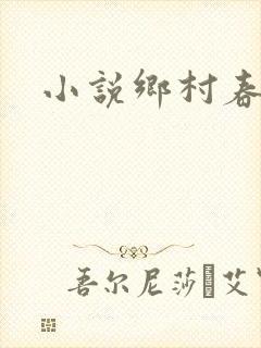 小说乡村春光