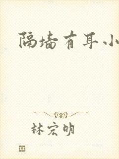 隔墙有耳小说
