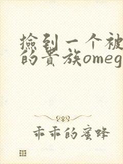 捡到一个被抹布的贵族omega