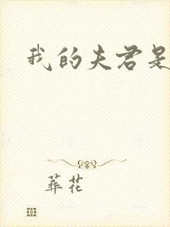 我的夫君是冥王
