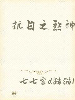 抗日之煞神传奇封面