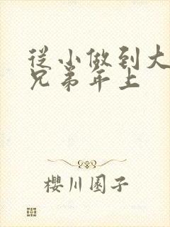 从小做到大骨科兄弟年上封面