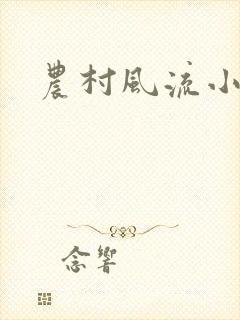 农村风流小说封面
