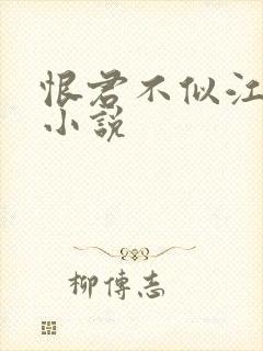 恨君不似江楼月小说