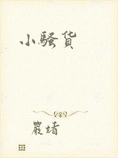 小骚货