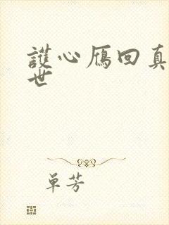 护心雁回真实身世封面
