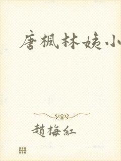 唐枫林姨小说
