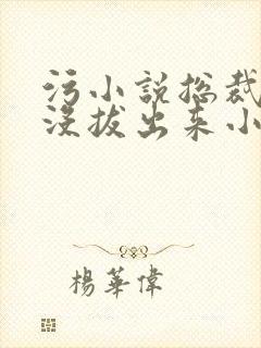 污小说总裁整夜没拔出来小说在线阅读