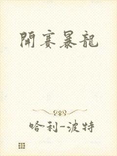 开赛暴龙