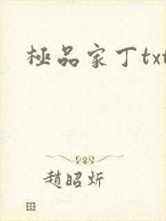 极品家丁txt封面