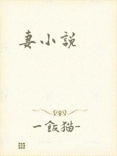 妻小说