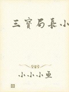 三宝局长小说封面