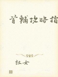 首辅攻略指南