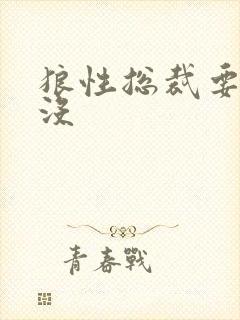 狼性总裁要够了没封面