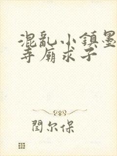 混乱小镇墨池砚寺庙求子封面