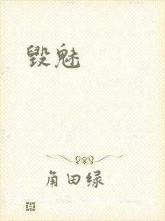 毁魅