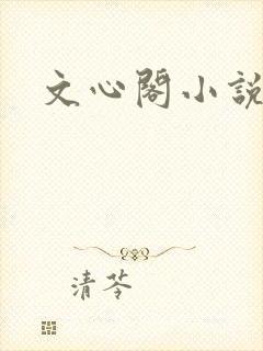 文心阁小说