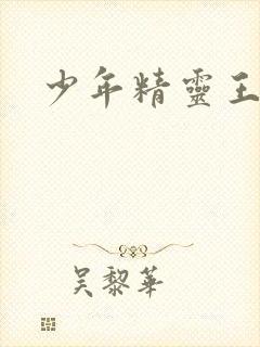 少年精灵王