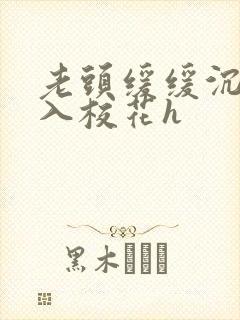 老头缓缓沉腰进入校花h封面