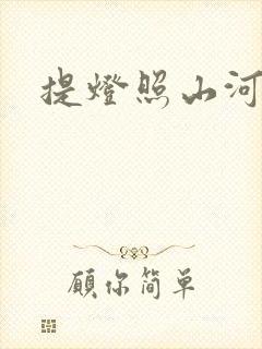 提灯照山河封面