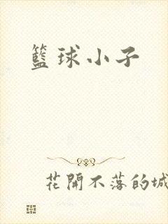 篮球小子