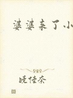 婆婆来了小说