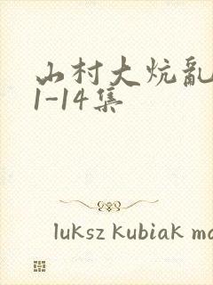 山村大炕乱肉续1-14集