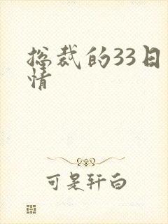 总裁的33日索情