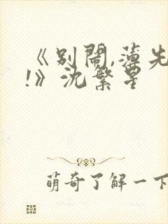 《别闹,薄先生!》沈繁星封面