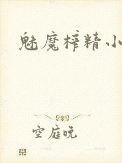 魅魔榨精小说封面