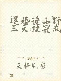 退婚后山野糙汉三天被宠成宝小说