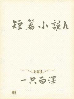 短篇小说h
