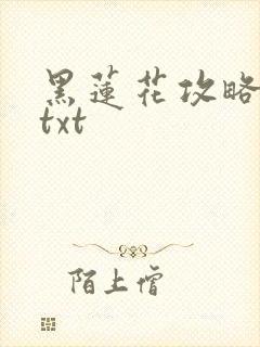 黑莲花攻略手册txt封面