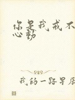 你是我戒不掉的心动