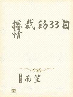 总裁的33日索情