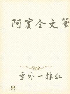阿宾全文笔趣阁
