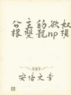 公主的欲奴h四根双龙np视频