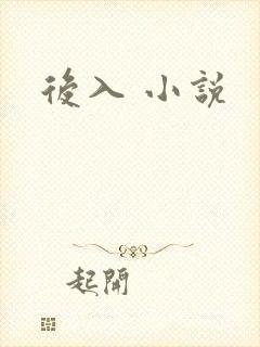 后入 小说