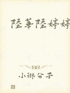 陆华陆婷婷
