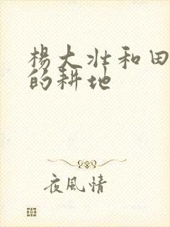 杨大壮和田桂花的耕地