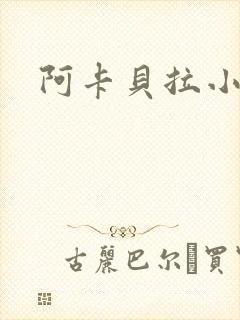 阿卡贝拉小说