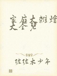 家庭大杂烩小说大全儿