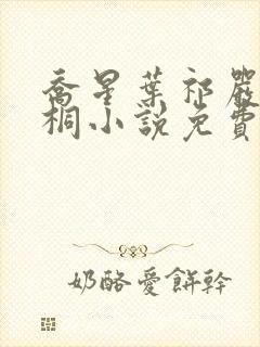 乔星叶祁严梁雨桐小说免费阅读封面