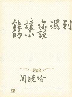 能让你湿到不行的小说