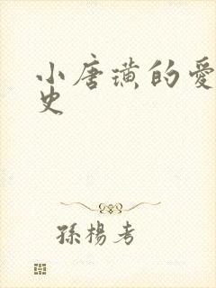 小唐璜的爱情历史