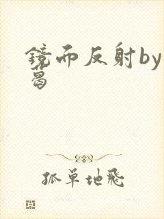 镜面反射by九葛