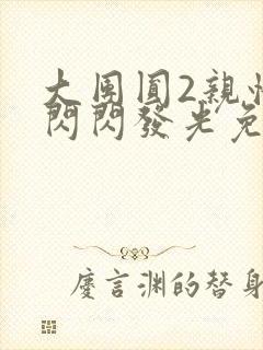 大团圆2亲情会闪闪发光免费