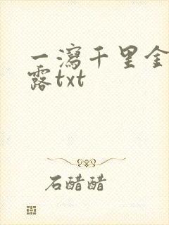 一泻千里金银花露txt封面