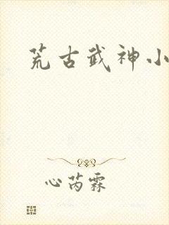荒古武神小说